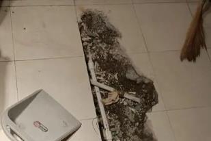 金华卫生间漏水检测电话